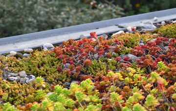 the cost of Upper Siddington green roof installation
