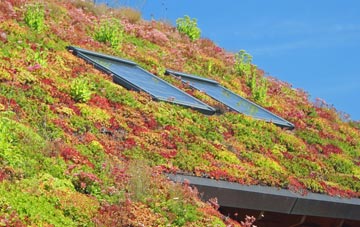 Upper Siddington living roof systems